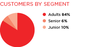 Pie Chart of Customer by Segment