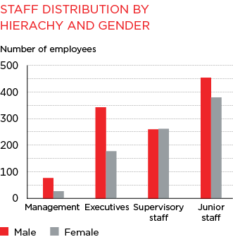 Bar Graph of Staff Distribution by Hierachy and gender
